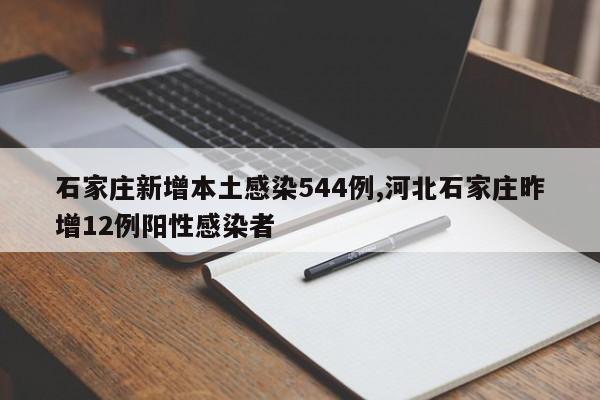 石家庄新增本土感染544例,河北石家庄昨增12例阳性感染者