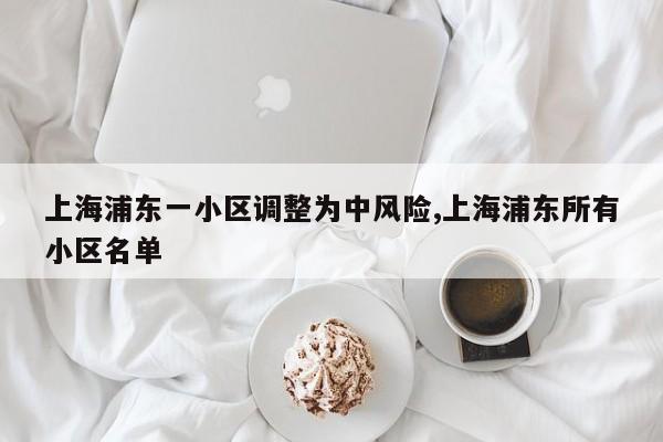 上海浦东一小区调整为中风险,上海浦东所有小区名单
